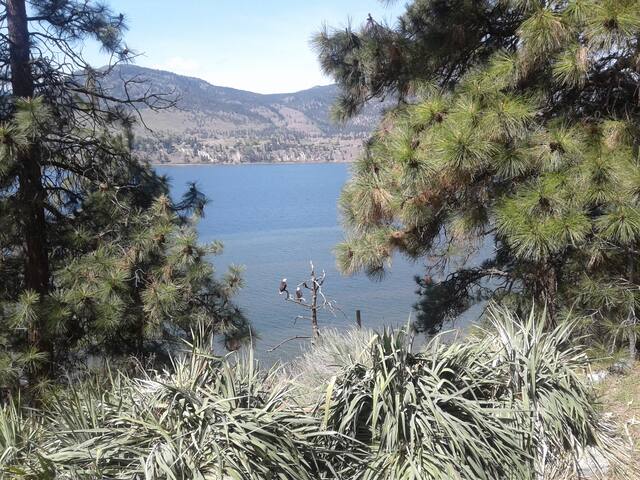Airbnb Skaha Lake Vacation Rentals Places To Stay
