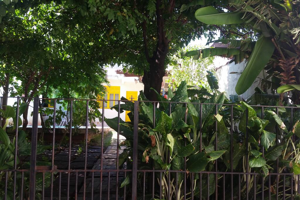 início do quintal da casa (divisão entre as duas casas do terreno)