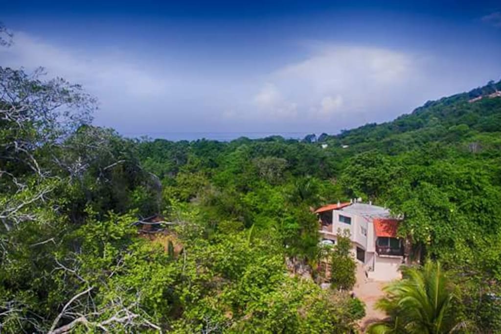disfruta de la selva baja del pacífico mexicano