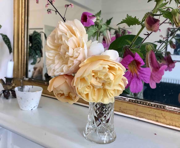 Light & spacious family house, Kensal Rise, London