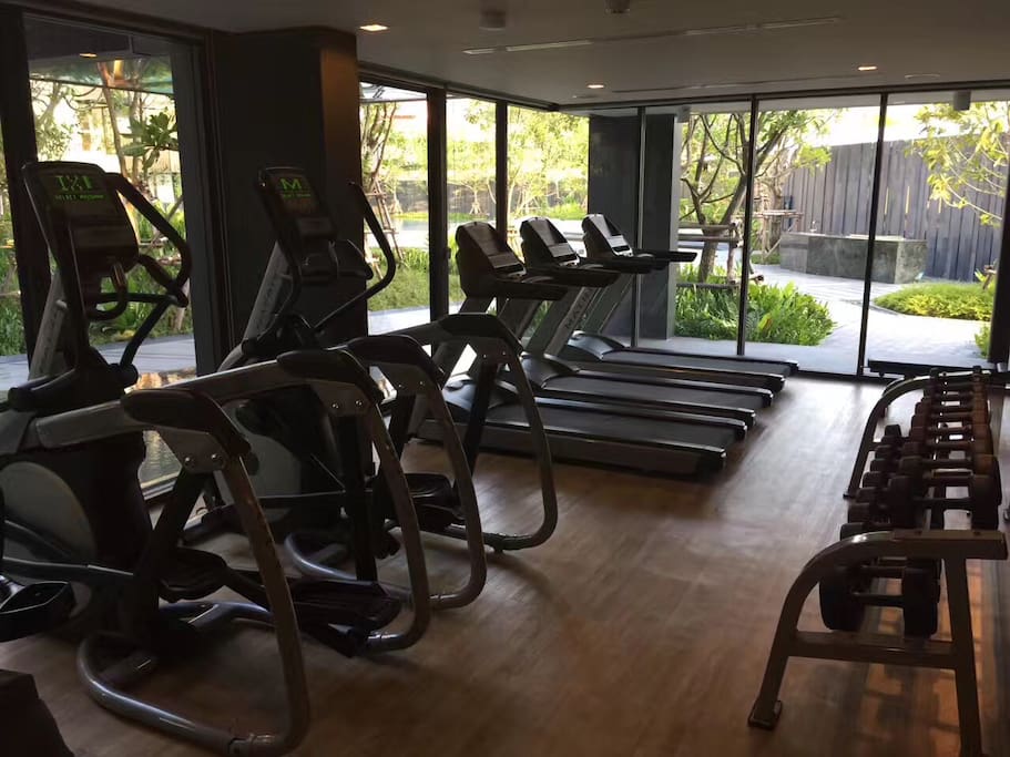 The gym(健身房)