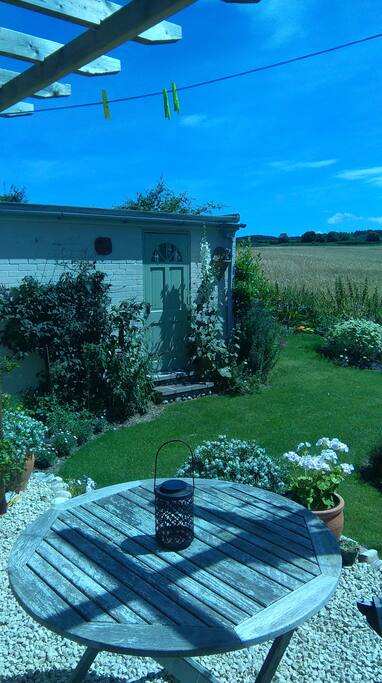looking from the pergola into the garden and beyond