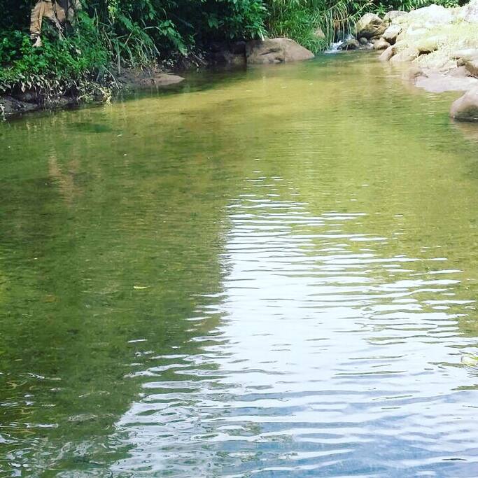 Rio com águas cristalinas correndo em frente ao Chalé.