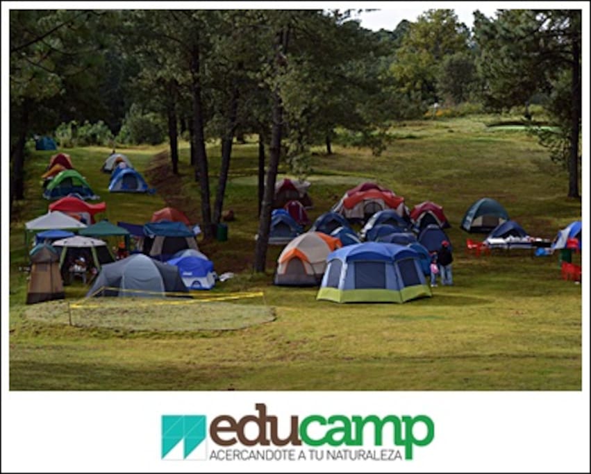 Zona de campamento