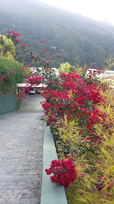 Rampa de entrada