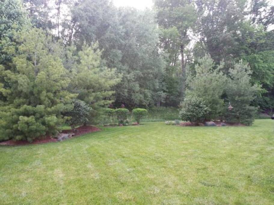 Private Back Yard
