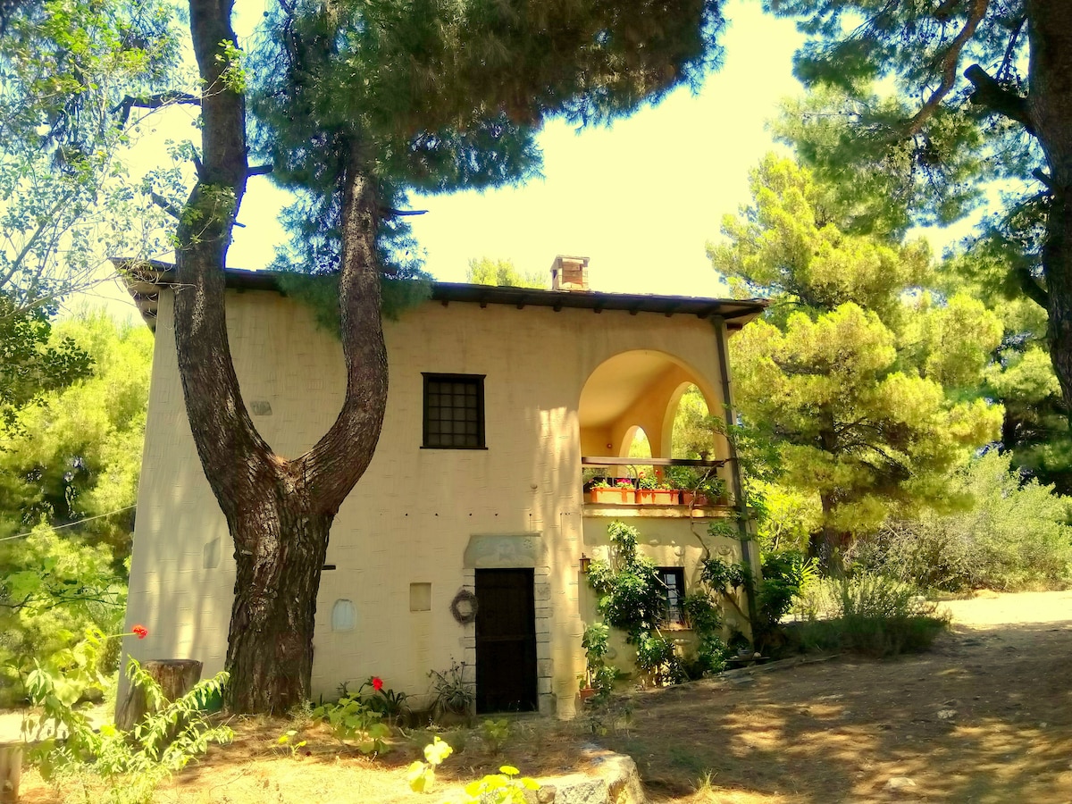 The exterior of the two-story house is surrounded by lush greenery, featuring a distinctive arched balcony on the upper level. Tall trees provide shade, while a pathway leads to the front door, contributing to a serene and natural environment.