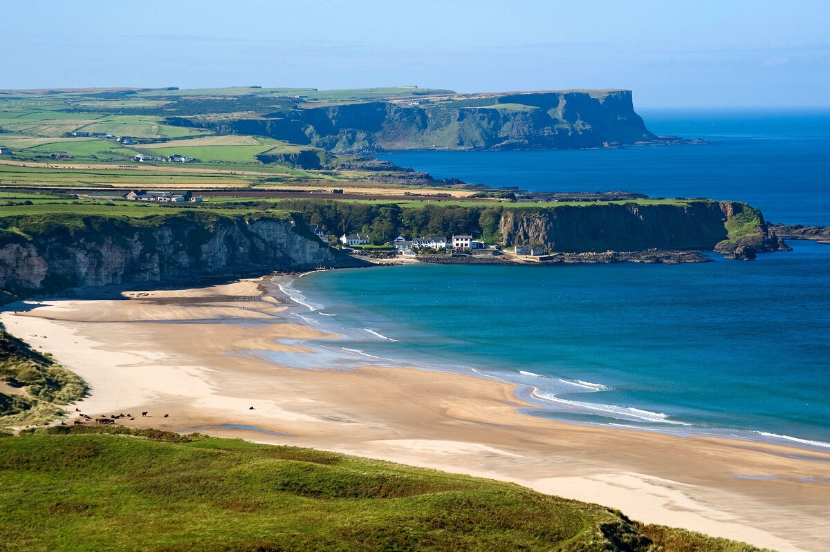 A sweeping view captures the shoreline meeting the calm blue sea, with sandy beaches extending towards grassy cliffs. Lush green hills rise in the background, complemented by rock formations along the coast, showcasing the natural beauty of the seaside landscape.