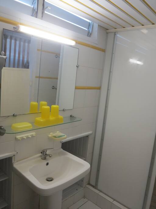 Salle bain avec grande douche