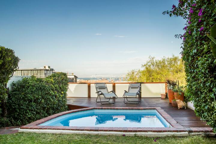 Cape Lights gallery image 4