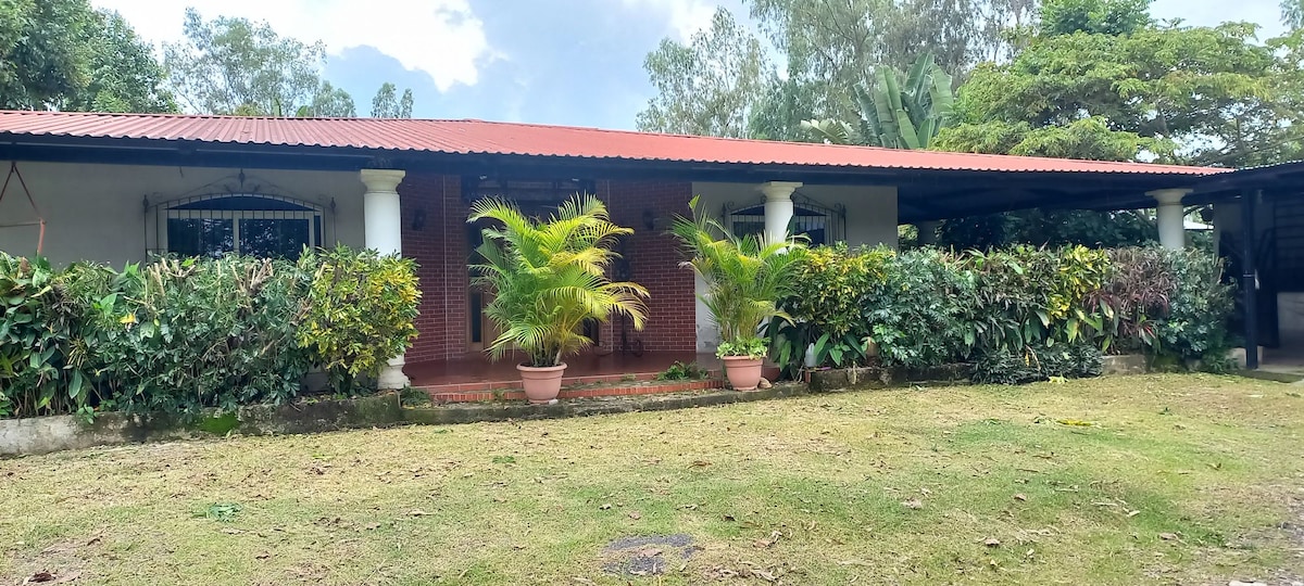 A single-story building with a red roof is surrounded by well-maintained greenery and potted plants. The exterior features a covered porch, inviting natural light through large windows that face the landscaped yard.