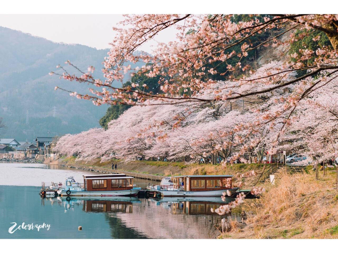 樱木 花道 向着漫长的小美好前进 就像没有尽头 日本旅游攻略 尽在airbnb爱彼迎