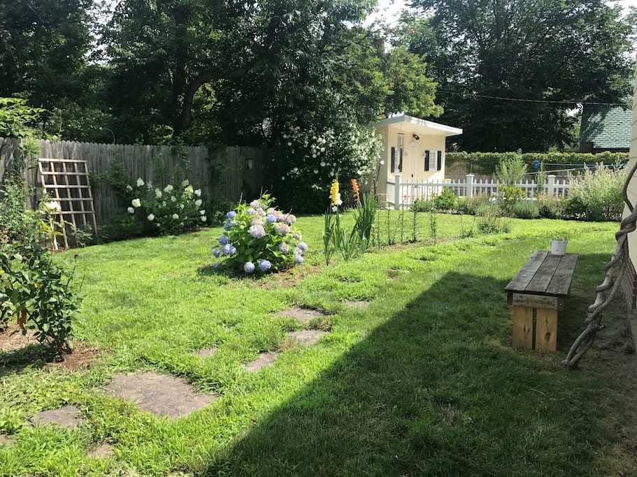 Our peaceful backyard