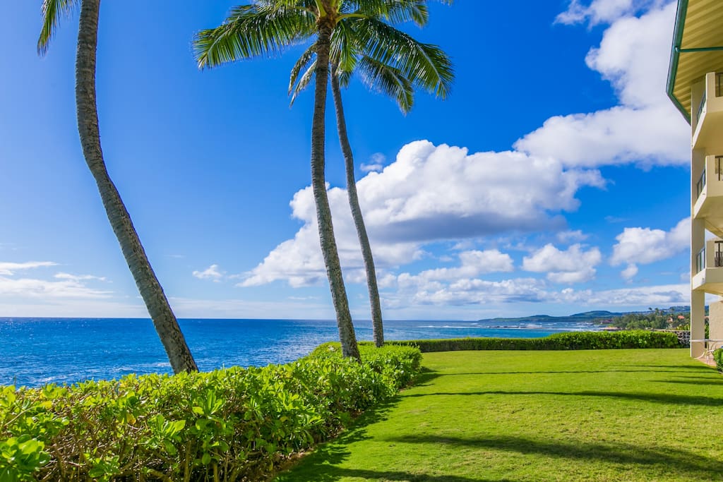 Can you Imagine Being Right Here at Poipu Shores 102A