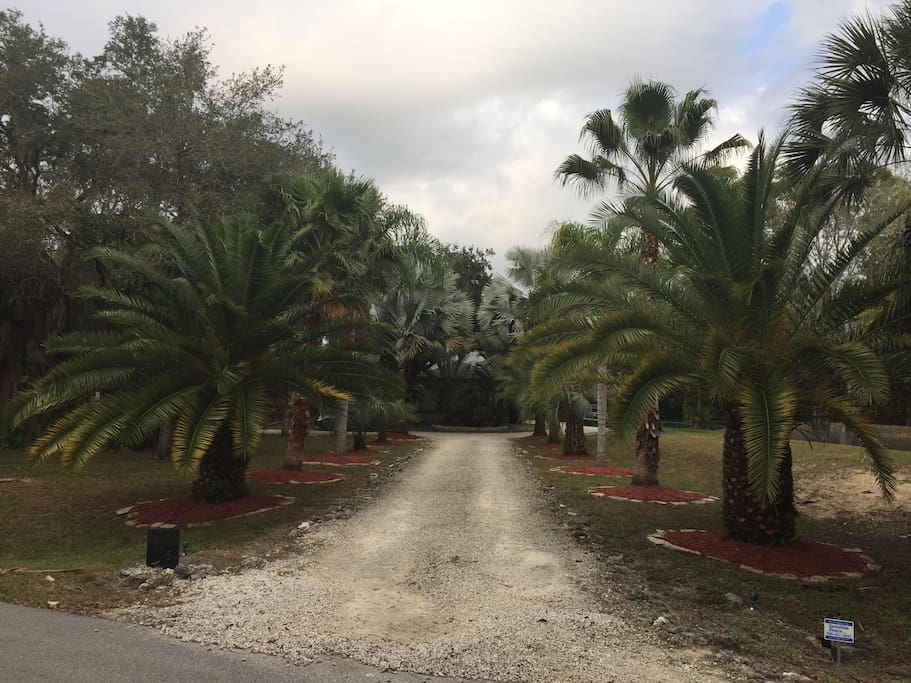 A very unique property with palm trees everywhere and very mature landscaping!