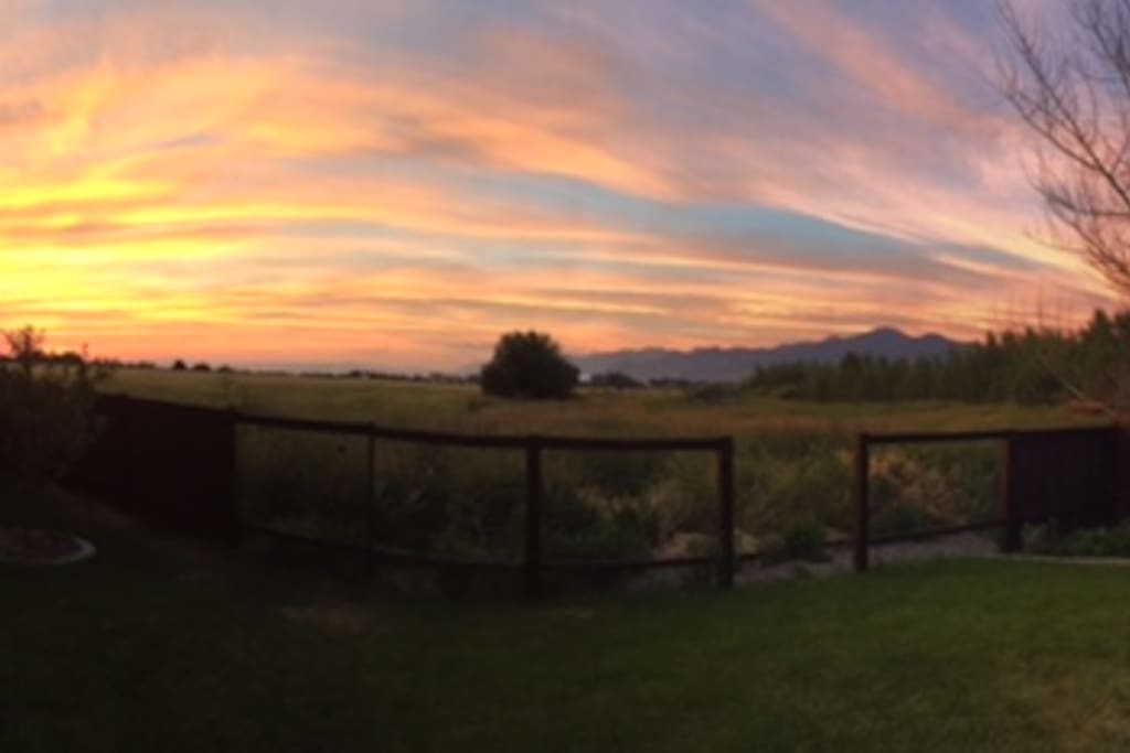 The view from the back porch.