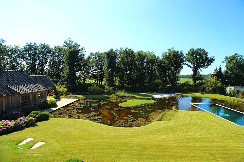 Natural pond with swimmingpool.