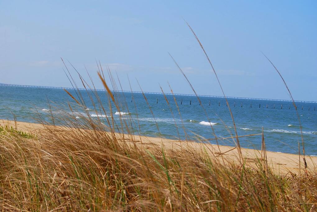 Our beach