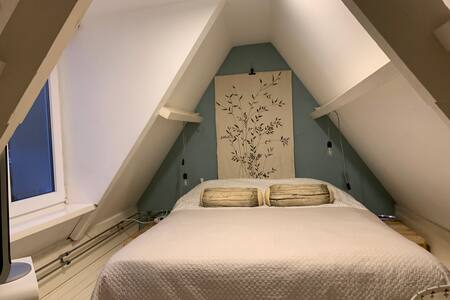 Vacation Home: Centre of Haarlem