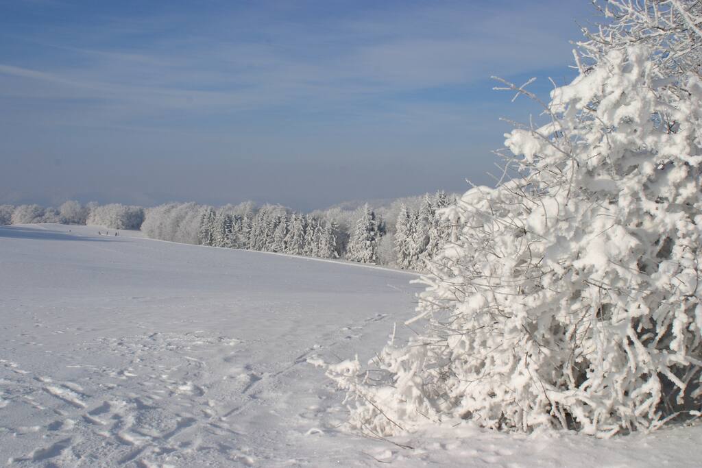 Im Winter hinterm Haus!