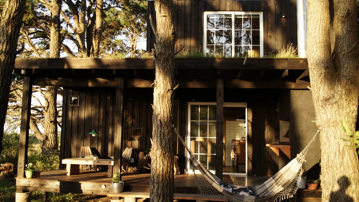 The exterior of a two-story tiny house is surrounded by tall trees. A spacious deck features a hammock, wooden chairs, and accent lighting. Large windows provide natural light, and the home's dark wood facade contrasts with the greenery, creating a serene and inviting outdoor space.