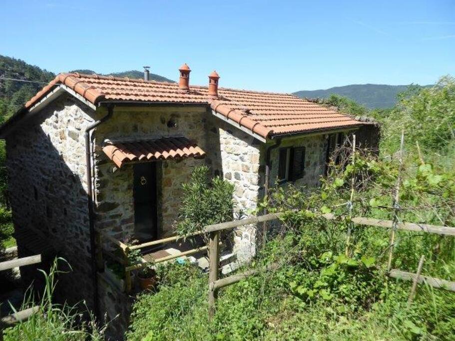 facciata