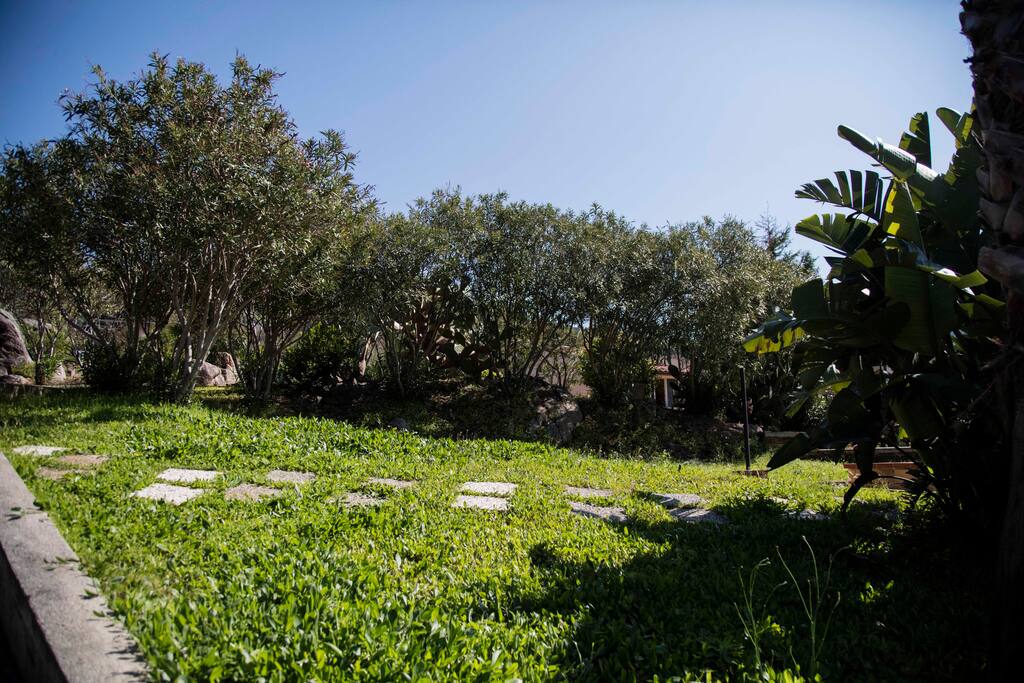 Giardino