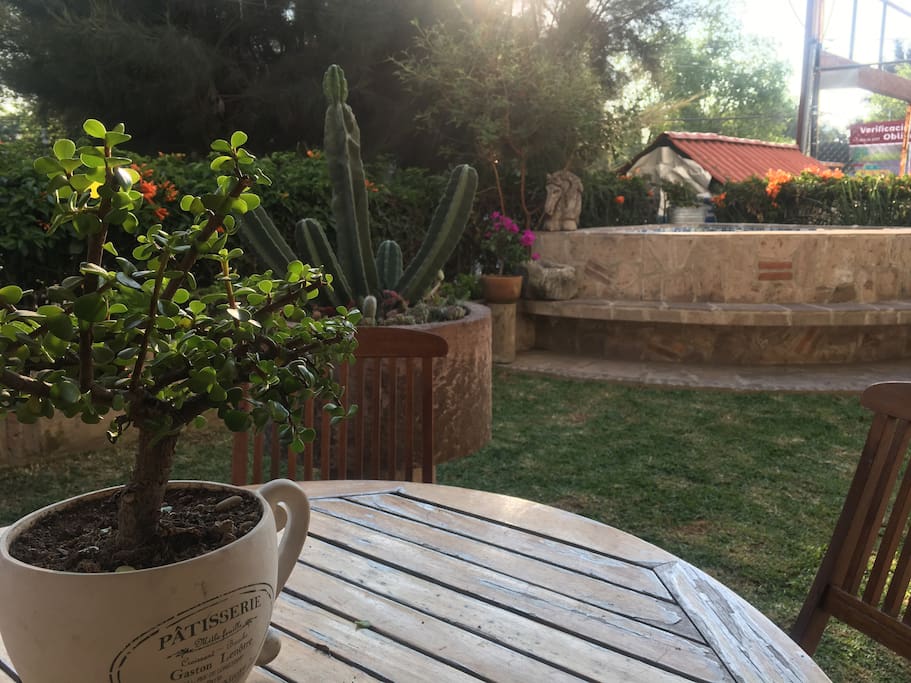Jardín interior con JacuZzi a temperatura ambiente