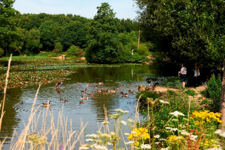 Riverside Garden Park Near Gatwick | Fasci Garden