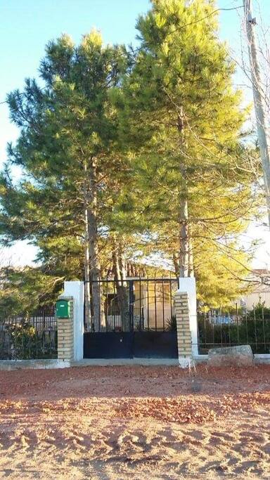 Entrada principal, junto a la carretera, bajo los pinos