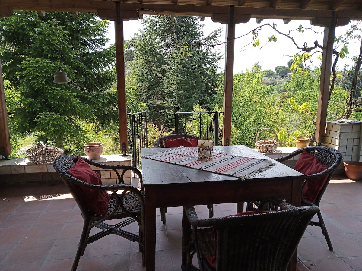 A spacious terrace is adorned with a wooden table surrounded by wicker chairs, set against a backdrop of lush greenery. Potted plants and decorative baskets enhance the outdoor space, creating a serene environment for dining or relaxation.