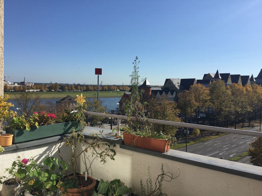 View from the balcony. The River Rhine is on the left. A nice place to go spazieren.