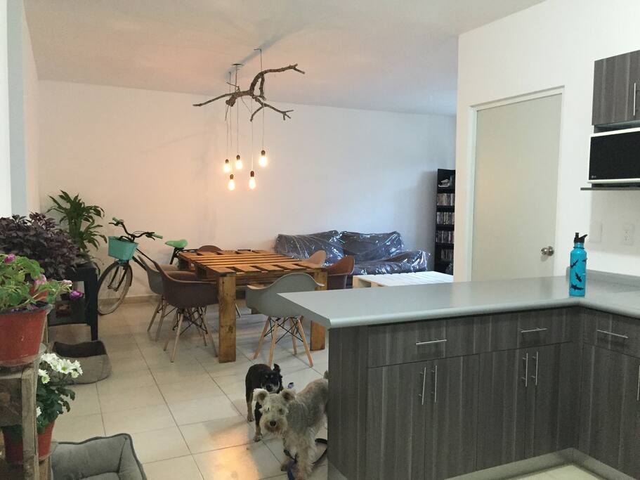 sala , comedor, cocineta