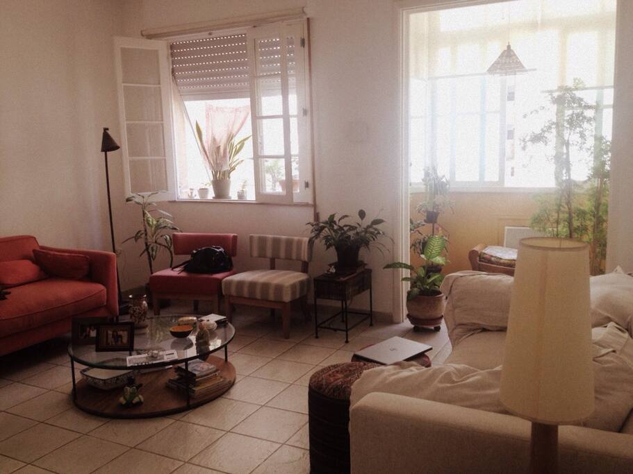 Jardim de inverno junto à sala