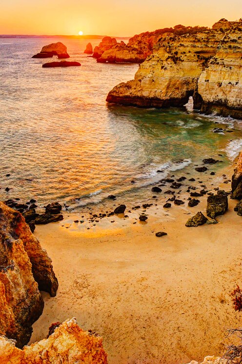 Show full-screen, host-provided image