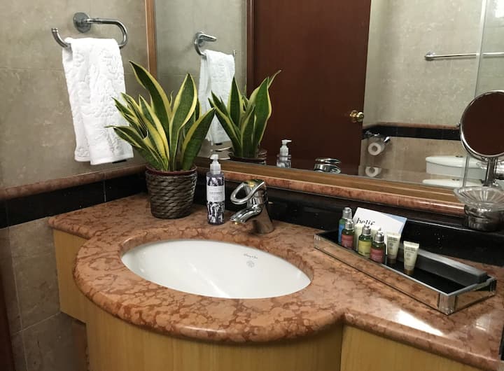 Luxurious Penthouse In City Centre 3 - Singapore
