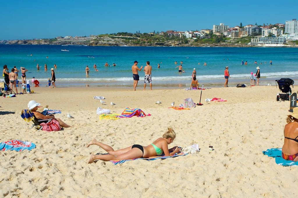 Typical summer's day at Bondi