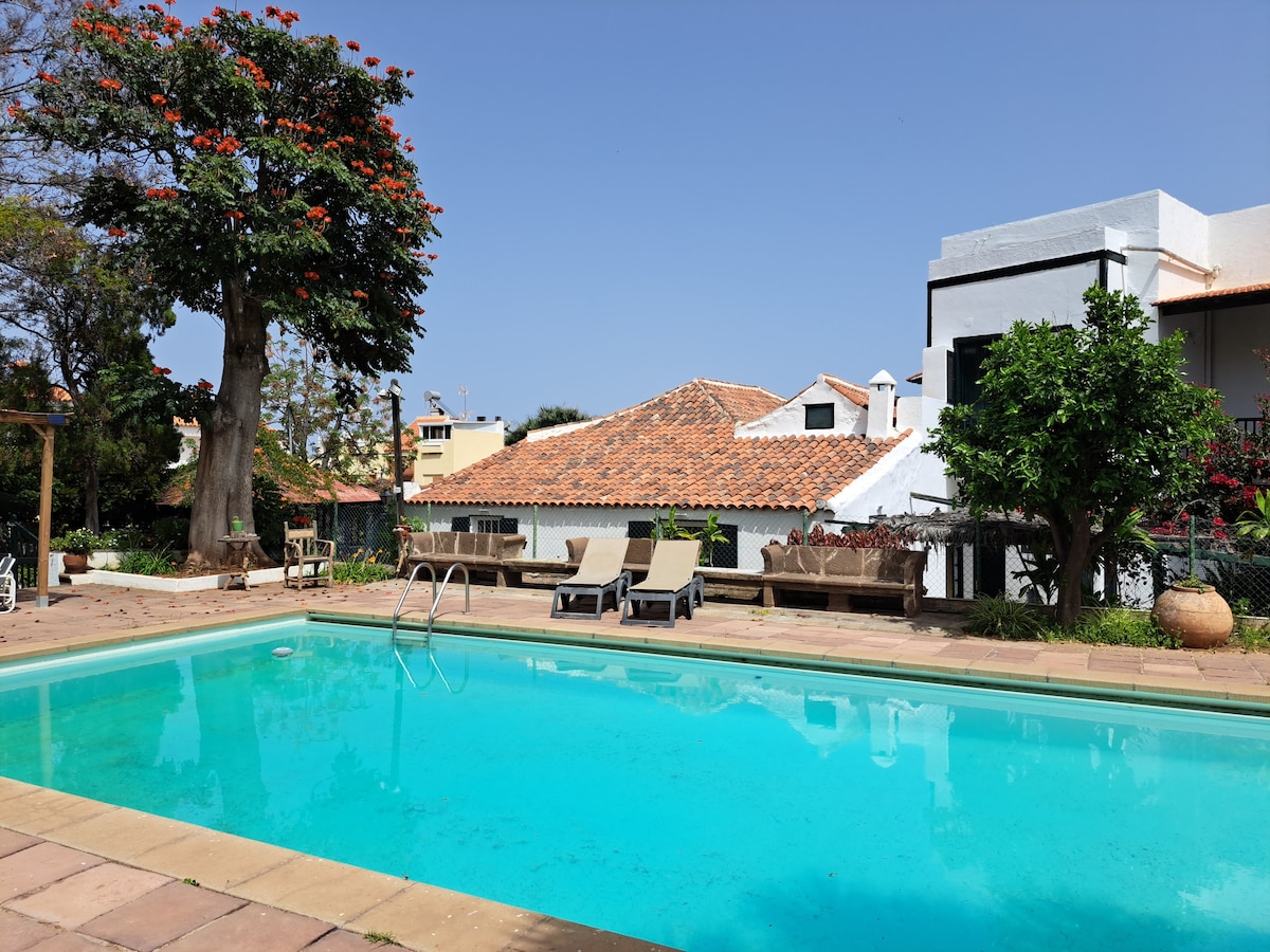 A clear pool reflects the sky, surrounded by sun loungers positioned on a stone patio. Lush greenery and vibrant flowers border the space, while traditional rooftops and modern architecture are visible in the background.
