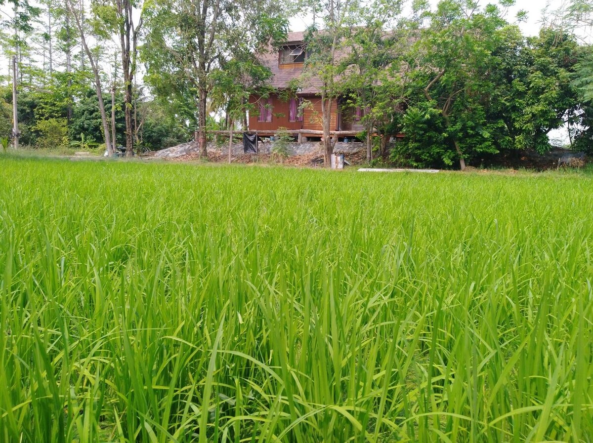 Nong Sanon Vacation Rentals u0026 Homes - Kanchanaburi, Thailand Airbnb