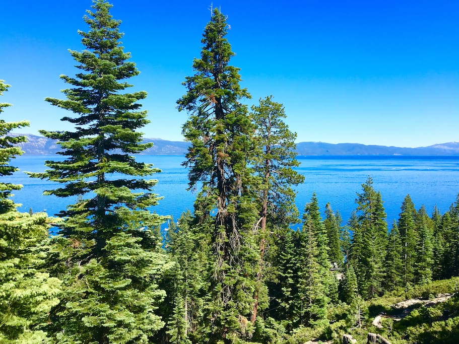 View from your bedroom deck.