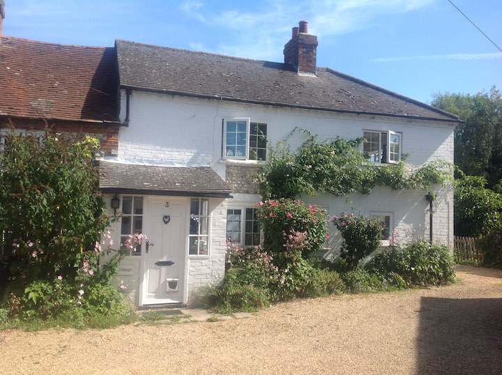 Chichester Holiday Rentals & Homes England, United Kingdom Airbnb