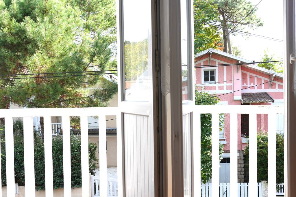 Au beau milieu des pins