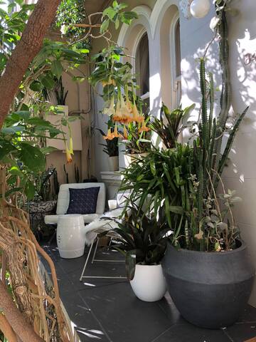 Designer 2 Storey Terrace near Inner City Harbour gallery image 5