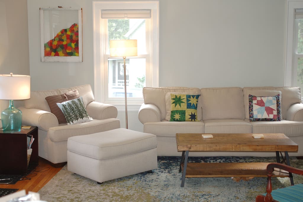 Comfortable living room with a pull-out couch