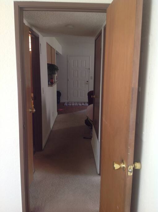 Corridor leading to the bathroom and bedrooms