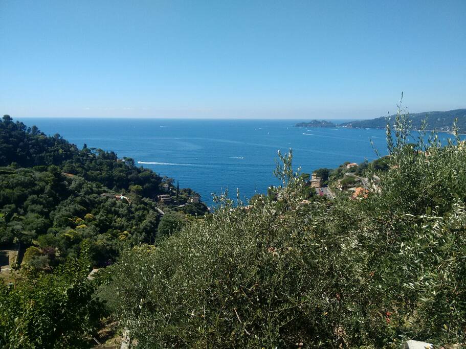Our view