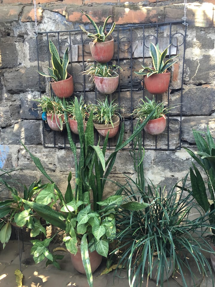 Top 12 Airbnb Vacation Rentals In Leon, Nicaragua Updated 2024 Trip101