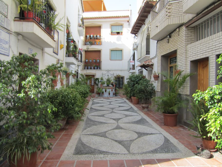 calle nueva
