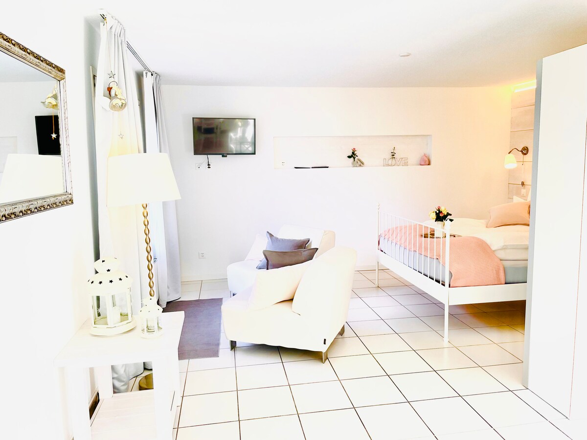 Successful Airbnb property: Apartment with a view of Lake Maggiore in Gambarogno