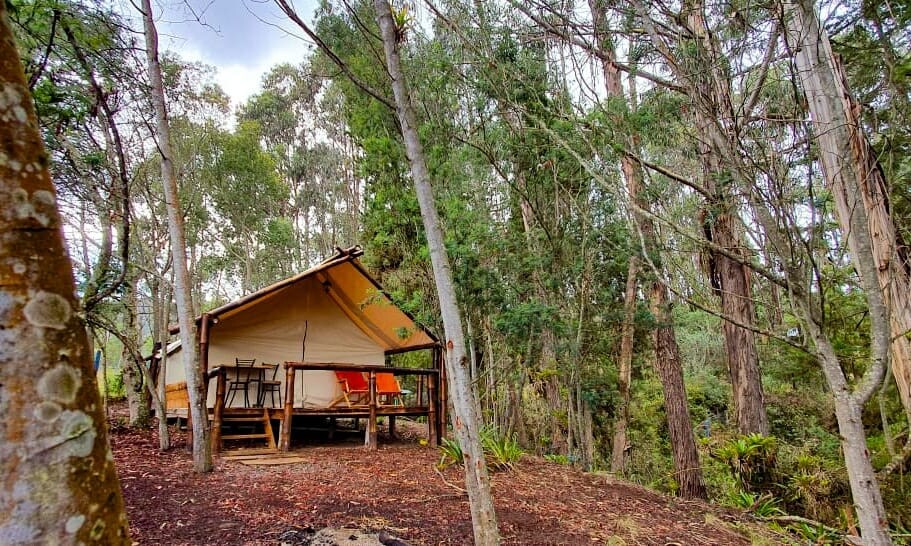 A charming glamping tent is nestled among towering trees, surrounded by lush greenery. A covered balcony features a rustic wooden table and chairs, inviting outdoor dining. The natural setting provides a peaceful atmosphere, enhancing the connection to nature.